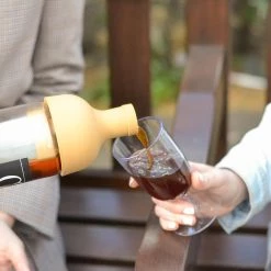 Hario Cold Brew Coffee Filter In Bottle (Mocha)