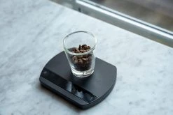 Hario Shot Glass (140ml)